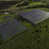 Usina de GD solar da GDSun, Narcélio Silveira, no Ceará